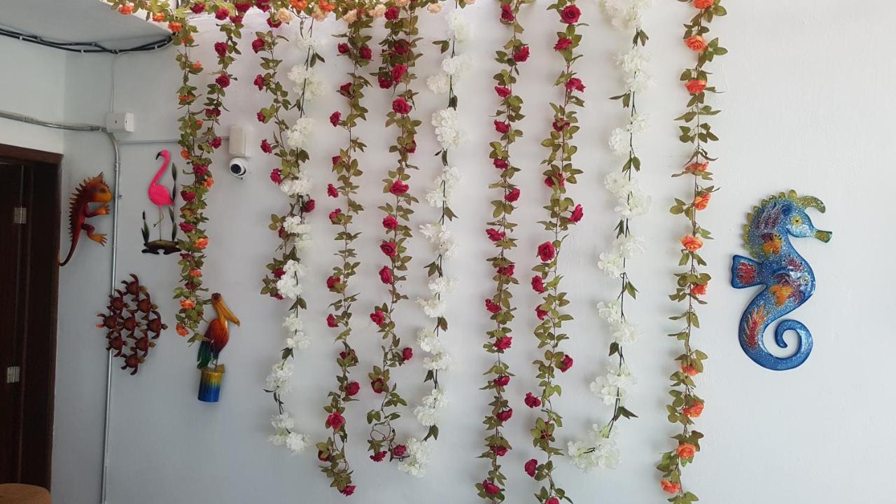 Posada Bugambilia Mazatlán Kültér fotó